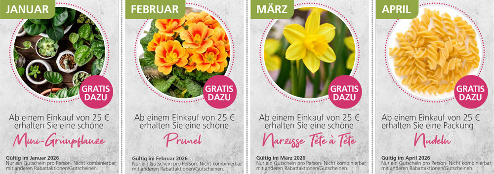 Gutschein-Karten von Pflanzenwelt Dienst