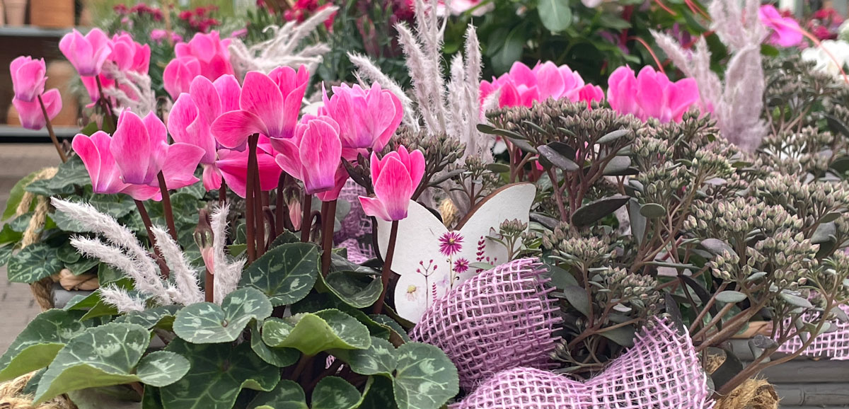 Balkonbepflanzung im Herbst- Gartencenter Dienst