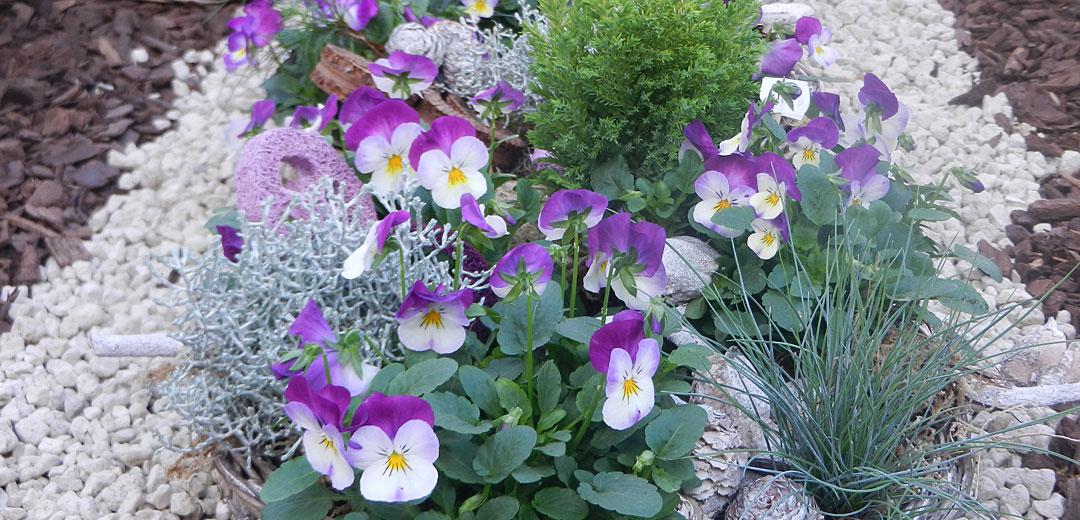 Grabbepflanzung - Gartencenter Dienst